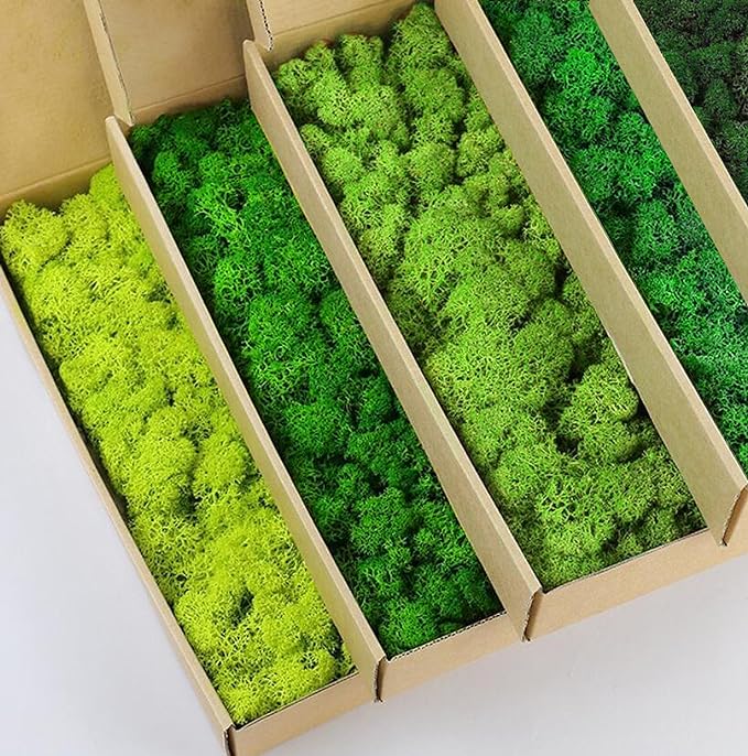 prefleur Preserved Reindeer Moss Natural Green DIY Kit Gardenning Art Wall Decor Florist Decor Easter Table Decor Wedding