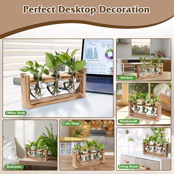 Zorpupoa Plant Propagation Station, Plant Terrarium with Wooden Stand, Tabletop Glass Planter Desktop Plants Propagation Vase for Hydroponics Plants - 3 Heart Shaped Vases