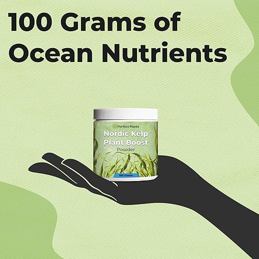 Nordic Kelp Plant Boost by Perfect Plants | Powder Seaweed Fertilizer to Support Strong Roots & Healthy Growth | Use On All Indoor & Outdoor Plants | NPK 0-0-17