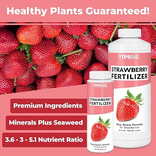 Strawberry Fertilizer – Liquid Strawberry Plant Food for Better Berry Production & Healthy Growth, 1 Gallon