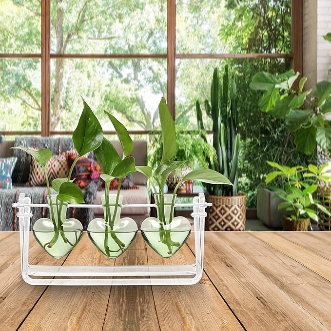 CYZglass Clear Plant Terrarium Propagation Stations with Acrylic Stand Birthday Gifts for Women Office Home Decor