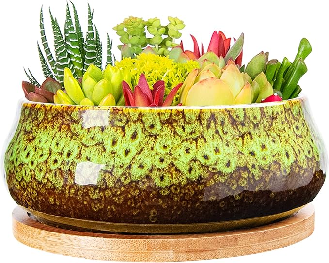 ARTKETTY Succulent Pots - 8 Inch Plant Pot, Large Bonsai Pots with Drainage Tray, Ceramic Planters for Indoor Outdoor Plants, Round Shallow Cactus Flower Plant Container Bowl Decorative Home Garden