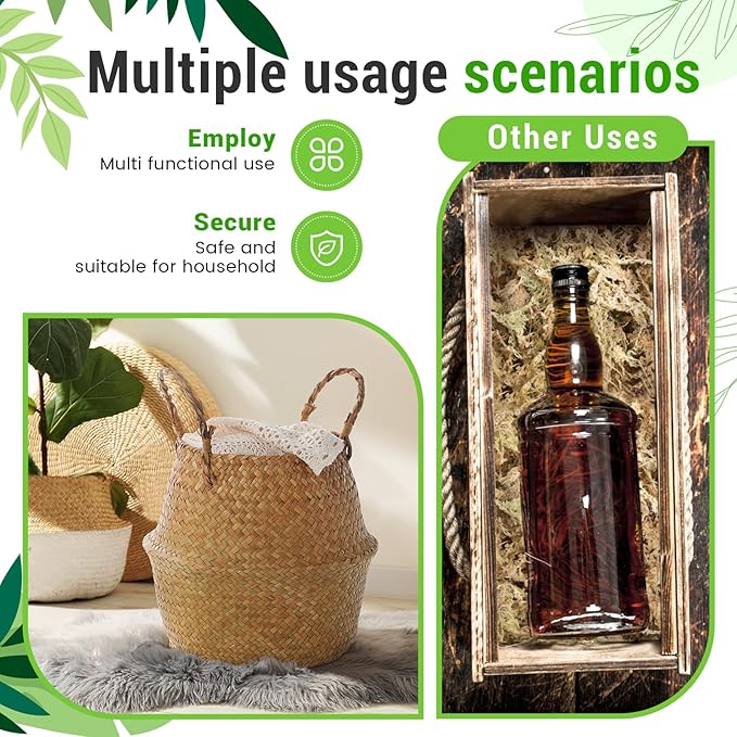 Large Wicker Plant Basket with Handle 10 Inch Woven Seagrass Belly Basket and Artificial Moss for House Plants Picnic Grocery Laundry Storage Home Decor(Large,Original,1 Pack)