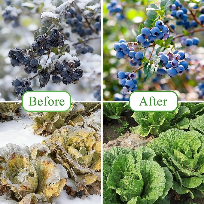 10ft x 33ft Plant Covers Freeze Protection Floating Row Cover 1oz/yd² Garden Fabric Plant Cover for Winter Frost Sun Bird Protection, Frost Blankets for Outdoor Plants, Winter Tree Frost Cloth
