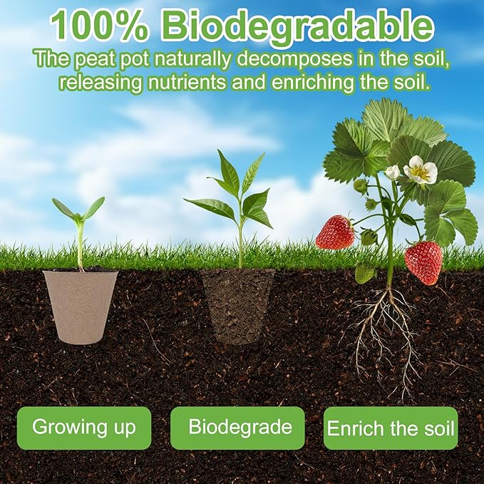 TAOLABV 30 Packs Peat Pots, 3.1 Inch Seed Starting Pots Without Drainage Holes, Biodegradable Round Nursery Pot, Starting Seeds of Vegetables, Herbs, and Flowers