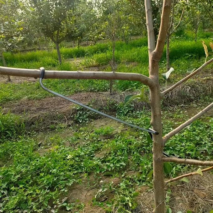 Fruit Tree Limb Spreader 10pcs,14inch Branch Puller,New Fruit Branch Spreader Plastic Hose Wrapped Iron Wire Don't Damage Branches,Tree Open Angle Pull Branch Bending Tool