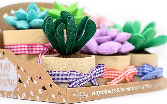 Felt Succulents Craft Kit. Make 6 Potted Colorful Plushies & A Display Rack. Mini Garden DIY Sewing Project, Activity Set, Arts & Crafts Supplies - Great Gift for Teens and Adults