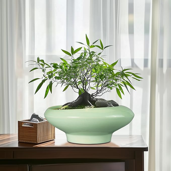 Teagas Ceramic Bonsai Pots - Large Succulent Planter 13 Inch Plant Pot Indoor Succulent Pot with Drainage Hole Outdoor Planter Bonsai Tree Pot for House Home Garden Office Decor Green