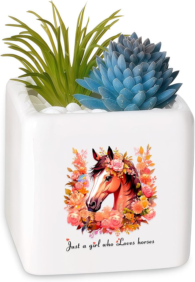 BJDAMAI Horse Succulent Planter Flower Plant Pot Small, Gifts for Women Teens Girls Kids, Horse Lovers Themed Stuff Accessories Things Decor Merch, Home Office Table Desk Decoration!