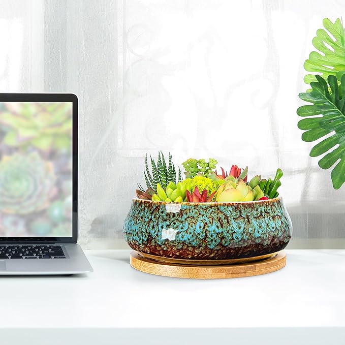 ARTKETTY Succulent Pots - 8 Inch Plant Pot, Large Bonsai Pots with Drainage Tray, Ceramic Planters for Indoor Outdoor Plants, Round Shallow Cactus Flower Plant Container Bowl Decorative Home Garden