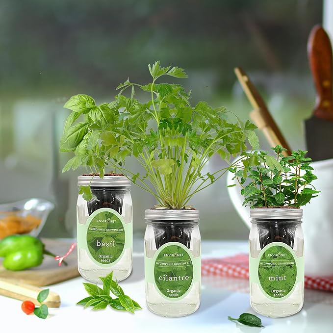 Environet Hydroponic Herb Growing Kit Set, Self-Watering Mason Jar Herb Garden Starter Kit Indoor, Window Herbs Garden, Grow Your Own Herbs from Organic Seeds (Basil, Cilantro and Mint)