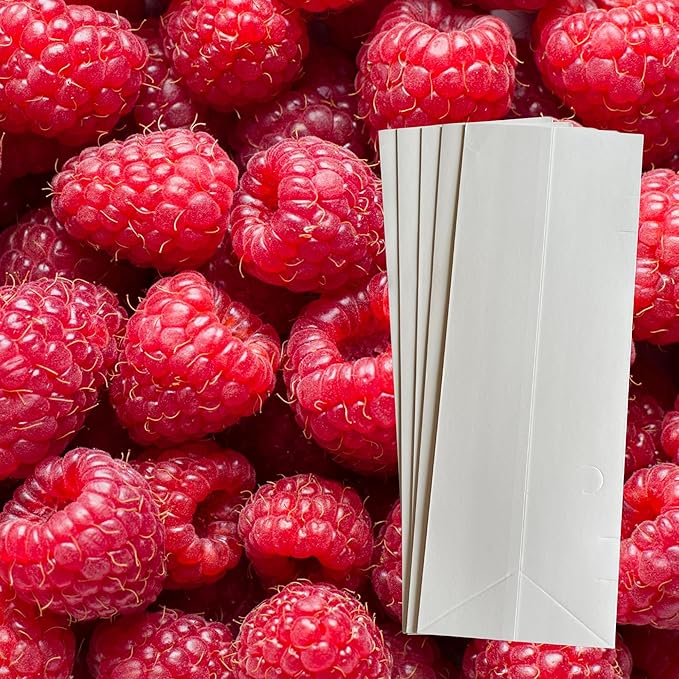 Heritage Raspberry Plants (5 Plants) - 5 Raspberry Supports Included! - Bare Root Plants from Hand Picked Nursery