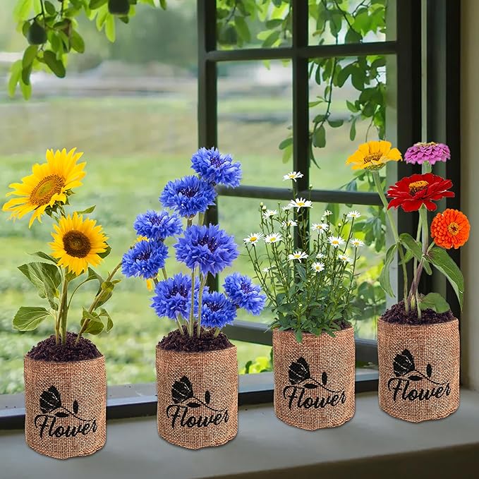 Sproutix Indoor Daisy Garden Starter Kit, 4 Flower Seeds Growing into Shasta Daisy, Cornflower, Sunflower, Zinnia, Including Complete Gardening Tools, Christmas Gifts for Women Men & Beginners