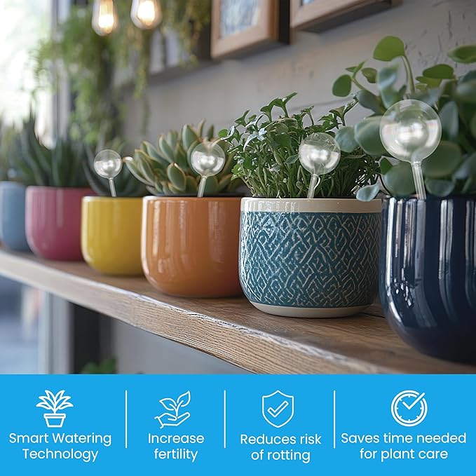 Automatic Plant Watering Globes Self Watering Planter Inserts (Set of 6) | Hands Free Clear Glass Bulbs | Planter Spikes to Support Indoor & Outdoor Plant Health (200ml)