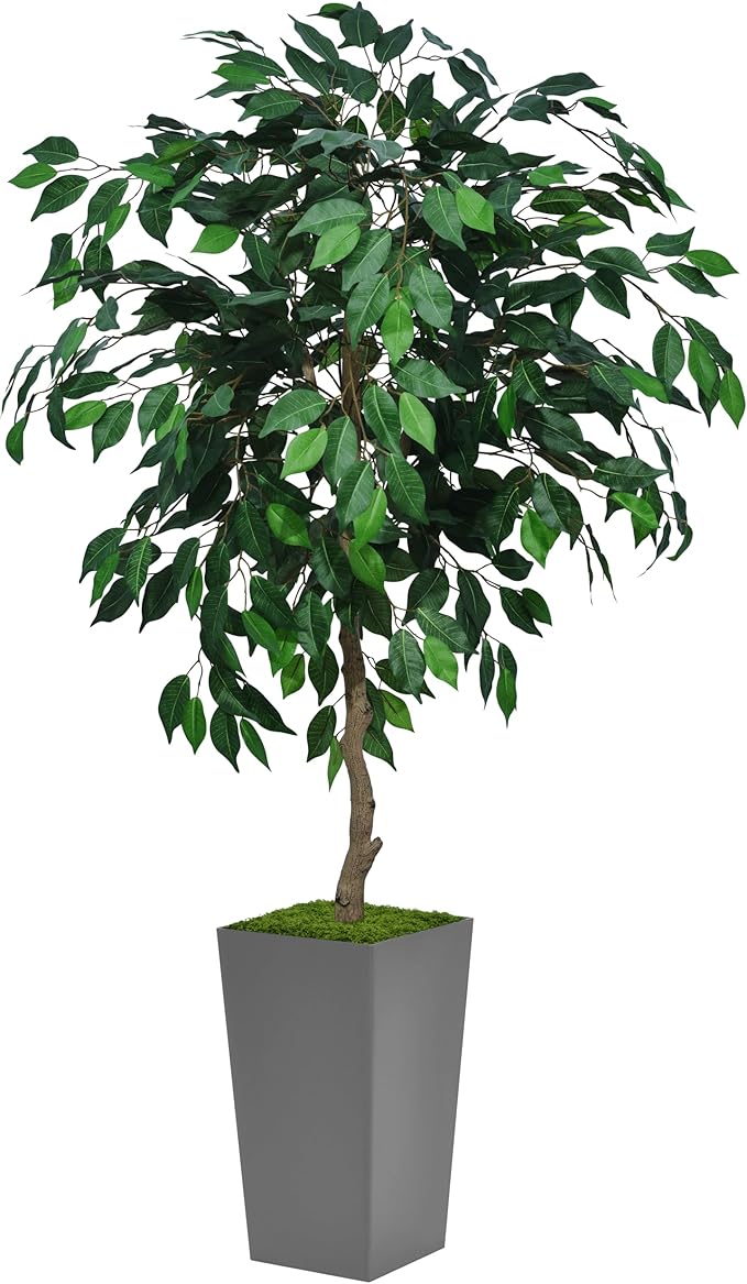 ASTIDY Artificial Ficus Tree 5FT - Faux Indoor Tree with Gray Tall Planter - Fake Ficus Floor Plant Potted - Artificial Silk Tree for Home Office Living Room Decor Indoor