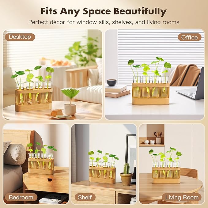 Plant Propagation Station with LED Light – Beech Wood & Glass Desk Decor, Indoor Terrarium with Wooden Stand, Plant Gifts for Women Plant Lovers