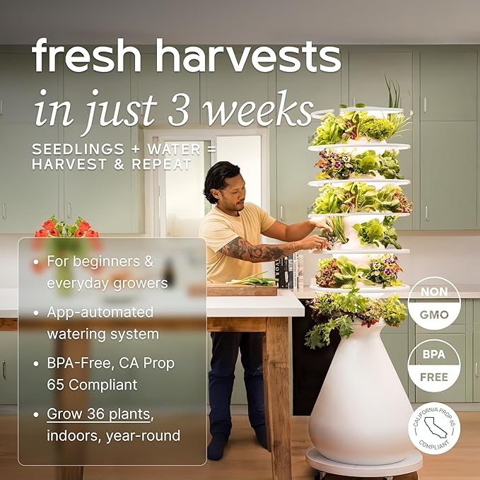 Farmstand Starter Kit with Glow Rings and 36 Seedling Credits | Large Hydroponic Growing System Kit | Vertical Garden Planter Tower | 6ft 7in Tall