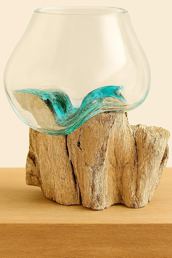 OMA Molten Glass on Driftwood – Hand-Blown Melted Glass Vase, Terrarium, or Planter for Coastal & Boho Home Décor (6"–7" High)