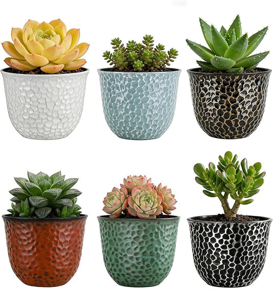 Worth Garden Plastic Round 8 Inch Planters for Indoor Plants Set of 6 Outdoor Resin Flower Pots Colorful with Drainage Hole Rubber Plug Retro Appearance Home Christmas Decorative Containers Multicolor