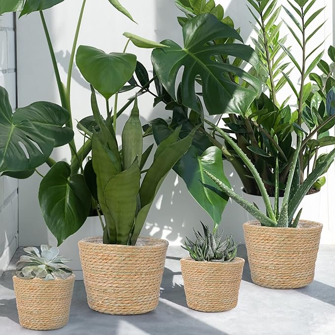 Mumufy 6 Pcs Seagrass Planter Basket Flower Pots Cover Plant Baskets Hand Woven Plant Basket Storage Containers with Plastic Liners for Indoor Outdoor Flower Pots Decoration 10, 7, 8.3 Inch(Classic)