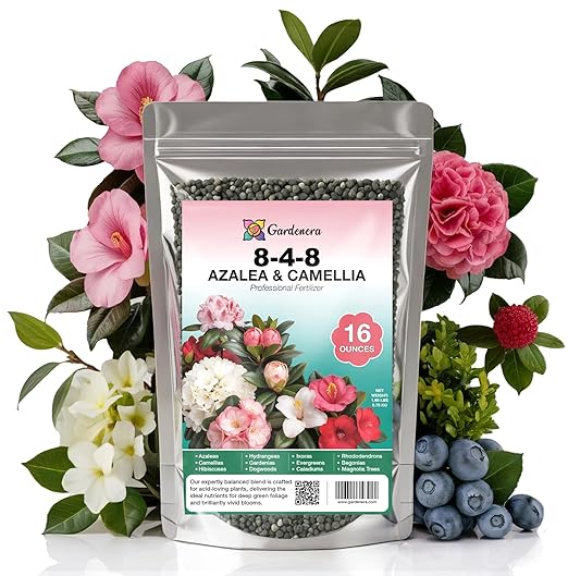 𝐁𝐄𝐒𝐓𝐒𝐄𝐋𝐋𝐄𝐑 Premium 8-4-8 Acidic Fertilizer for Azaleas, Camellias, Hydrangeas, Blueberries, Gardenias, Magnolia Trees, Evergreens and Rhododendrons - Ideal Iron-Rich Plant Food [16 OZ]