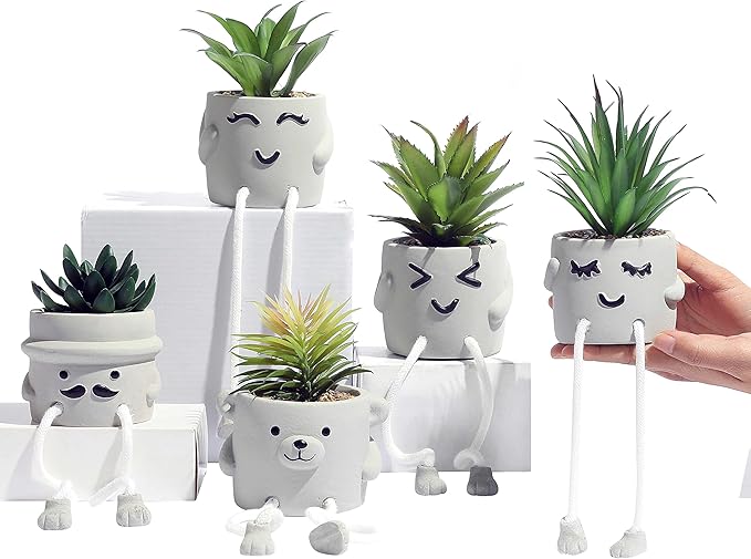 OLEEK Small Fake Plant Office Desk Decor - Desk Plants for Office Decorations for Work - Decorative Plants Decor - Funny Office Decor for Women - Fake Succulents Plants Artificial Home Decor Shelf