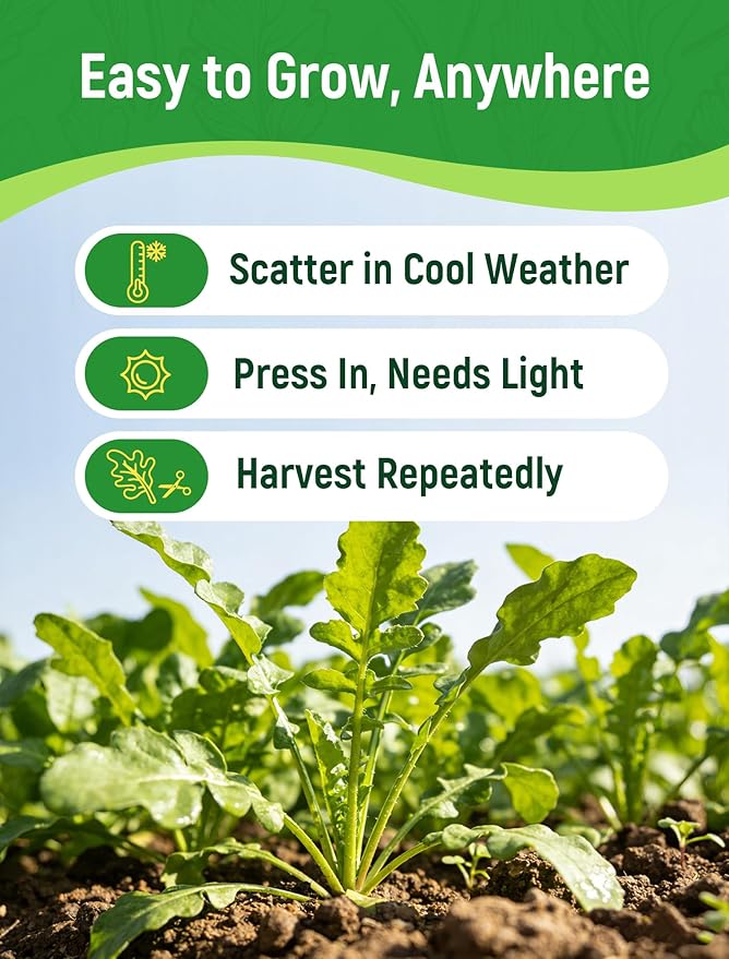 Arugula Seeds for Planting - Heirloom Roquette Seeds, Fast-Growing Peppery Greens for Indoor/Outdoor Gardens, Harvest in 3-4 Weeks, Cut-and-Come-Again Salad Seeds
