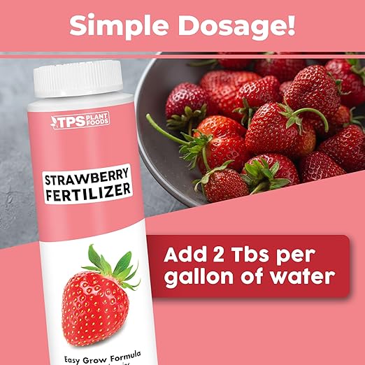 Strawberry Fertilizer – Liquid Strawberry Plant Food for Better Berry Production & Healthy Growth, 8 oz