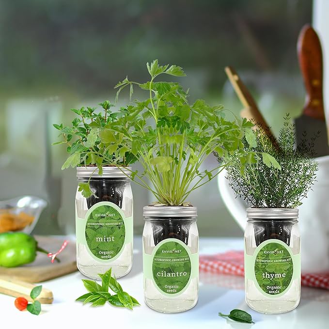 Environet Hydroponic Growing Kit Set, Self-Watering Mason Jar Herb Garden Starter Kit Indoor, Window Herb Garden, Grow Your Own Herbs from Organic Seeds (Mint, Cilantro and Thyme)