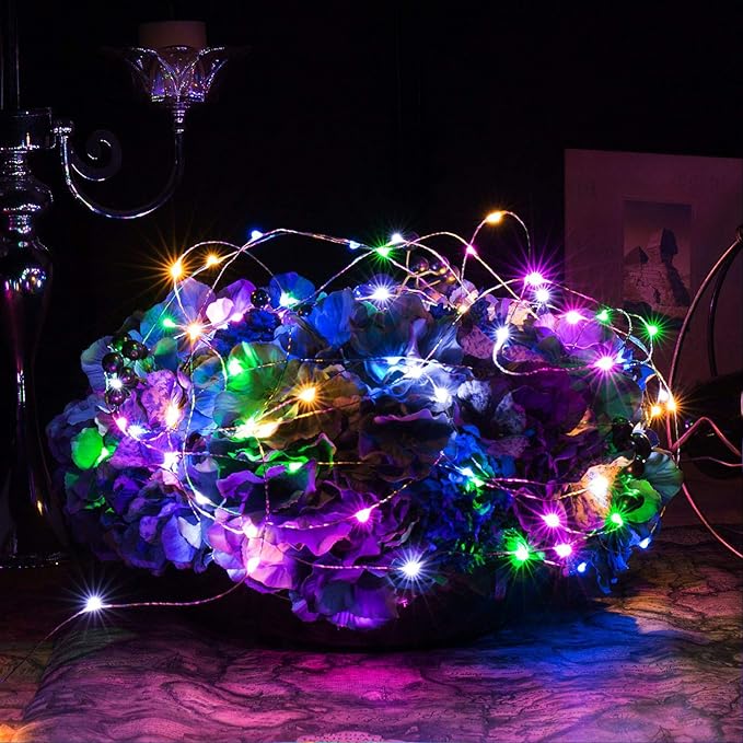 RUICHEN Silver Wire 66 Ft 200 LED USB Fairy String Lights with On/Off Switch (Multicolor)