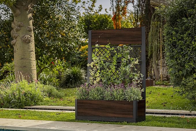 Keter Outdoor Planter Box with Privacy Screen and Trellis – 26 Gallon Raised Garden Bed for Climbing Plants & Flowers – Wood-Look Resin, Weather-Resistant Divider for Patio, Balcony & Backyard