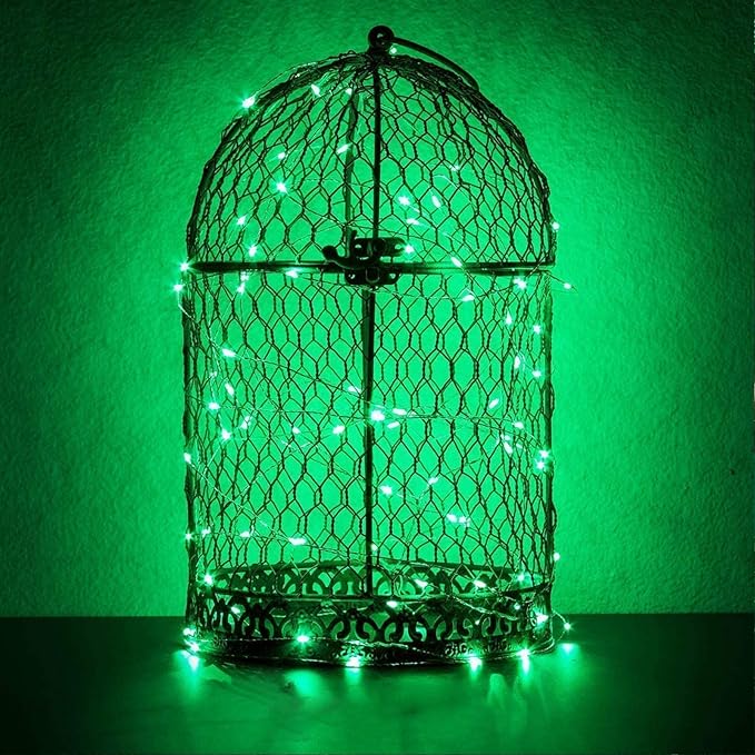 RUICHEN Silver Wire 33 Ft 100 LED USB Fairy String Lights with On/Off Switch (Green)