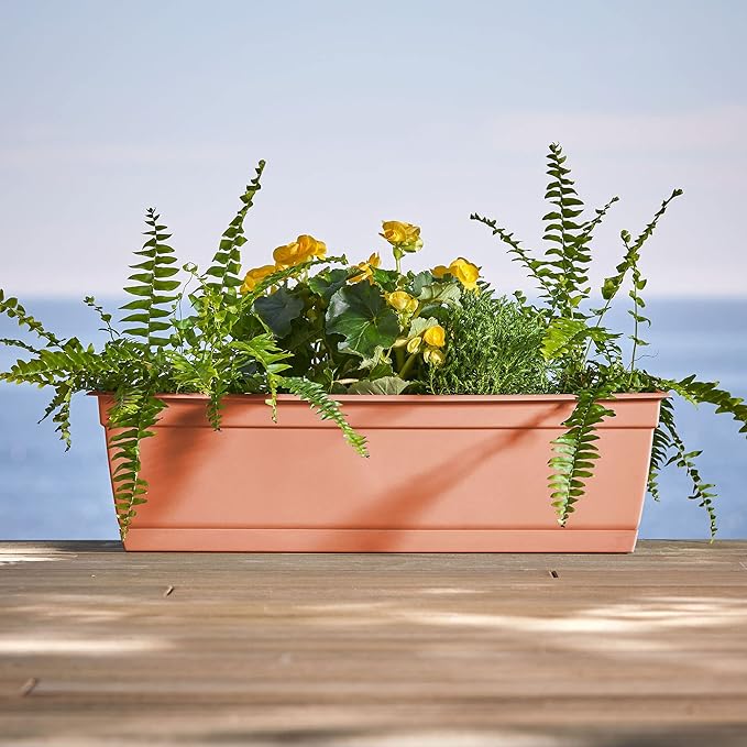 Bloem Dayton 24" Terra Cotta Recycled Plastic Rectangle Window Box Planter with Saucer Tray for Indoor and Outdoor Gardening