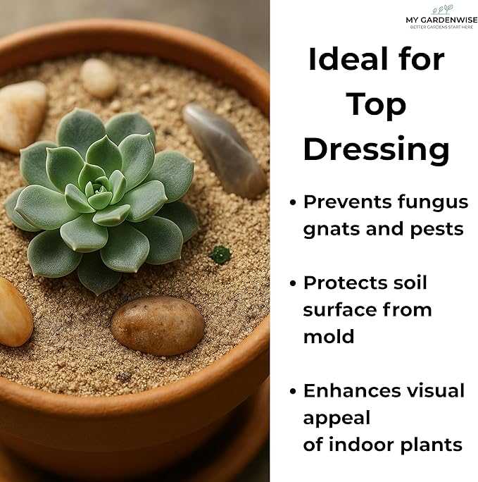 GARDENWISE Fine Sand for Plants – Horticultural Sand for Succulents, Cactus, Potting Mixes, Terrariums & Decorative Indoor Gardens, Made in USA (5 quarts - 14 lbs)