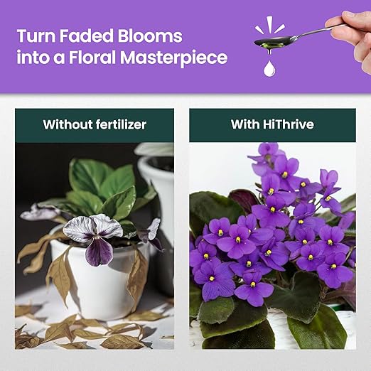 16oz African Violet Fertilizer for African Violets Live Plants - Makes 24 Gallons of Indoor Plant Food for Houseplants, Balanced Macro & Micronutrients Formula for Vibrant Blooms & Lush Foliage