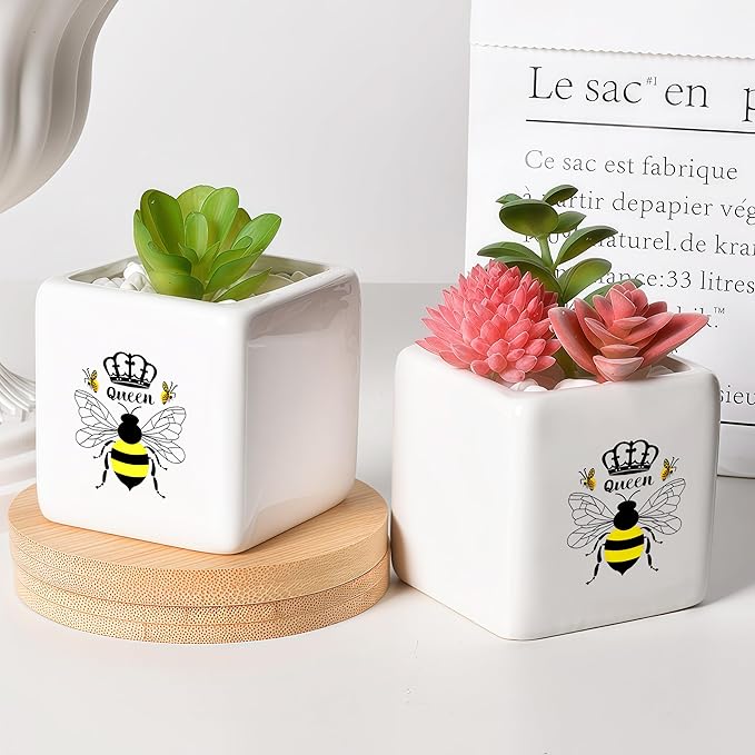 BJDAMAI Bee Succulent Planter Flower Plant Pot Small, Gifts for Women Teens Girls Kids, Bee Lovers Themed Stuff Accessories Things Decor Merch, Home Office Table Desk Decoration!