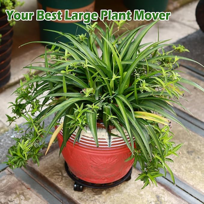 2 Packs 11 Inch Rolling Plant Stand with Wheels Wrought Iron Rolling Plant Stand with Casters Heavy Duty for Indoor Plants Rollers with Plant Saucers, Metal Round Plant Dolly