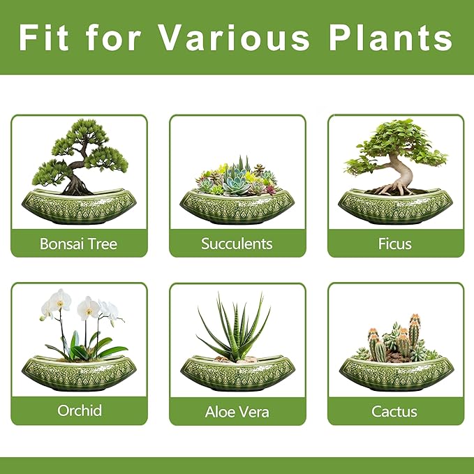Teagas Bonsai Planter 18 Inch - Large Ceramic Succulent Pots with Drainage Hole, Bonsai Pots for Indoor Outdoor Plant, Ceramic Flower Pot, Decorative Plant Pot, Garden Decor, Housewarming Gift, Green
