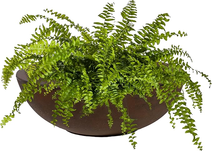 Sunnydaze Percival 20.75" Shallow Outdoor Planter Bowl for Flowers and Succulents - Polyresin Double-Walled Design - Rust - Set of 2