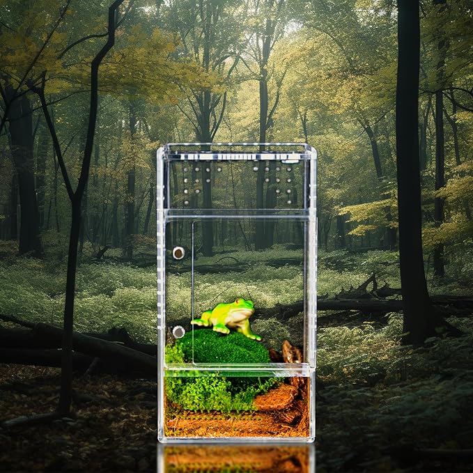 maiyuolg 3x3x6 Reptile Tank 0.25 Gallon – Acrylic Reptile Enclosure Terrarium for Crested Gecko, Lizards, Spiders & Snakes – Clear Lizard Habitat Terrarium