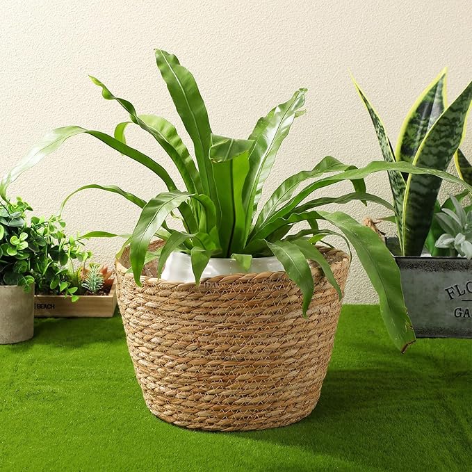 Woven Flower Basket Plant Pot with Plastic Liner Indoor Outdoor Decorative Rattan Planter for Small Plants Succulents and Home Garden