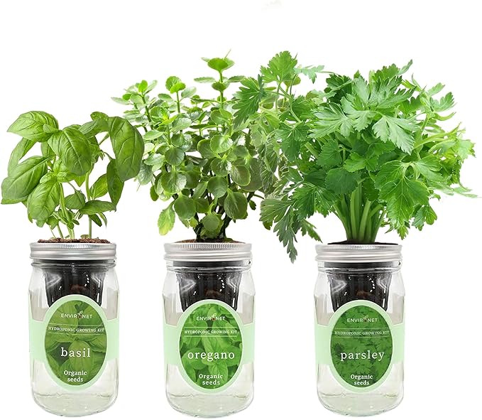 Environet Hydroponic Herb Growing Kit Set, Self-Watering Mason Jar Herb Garden Starter Kit Indoor, Window Herbs Garden, Grow Your Own Plants from Organic Seeds (Basil, Parsley and Oregano)