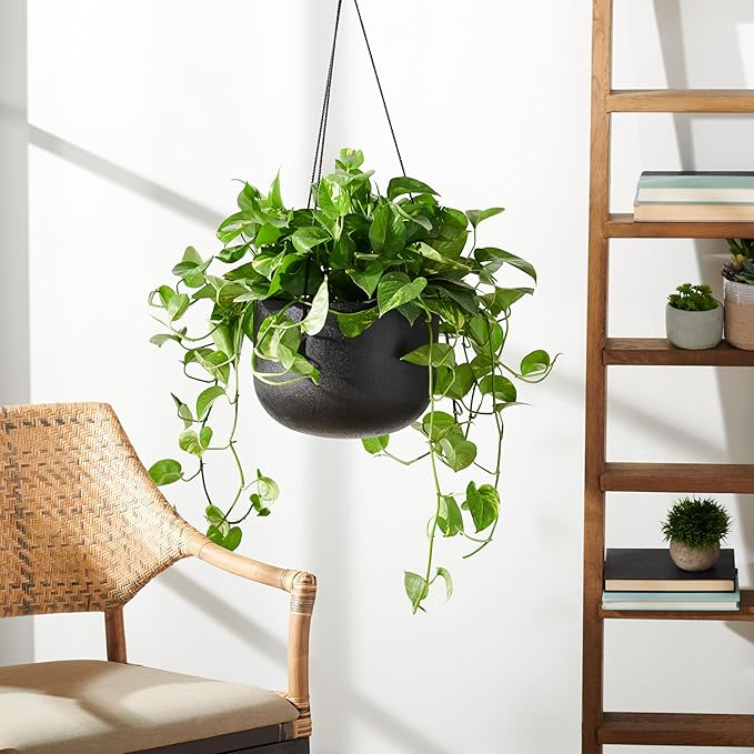 Safavieh Outdoor Collection Rancer Hanging Black Concrete Planter (Fully Assembled)