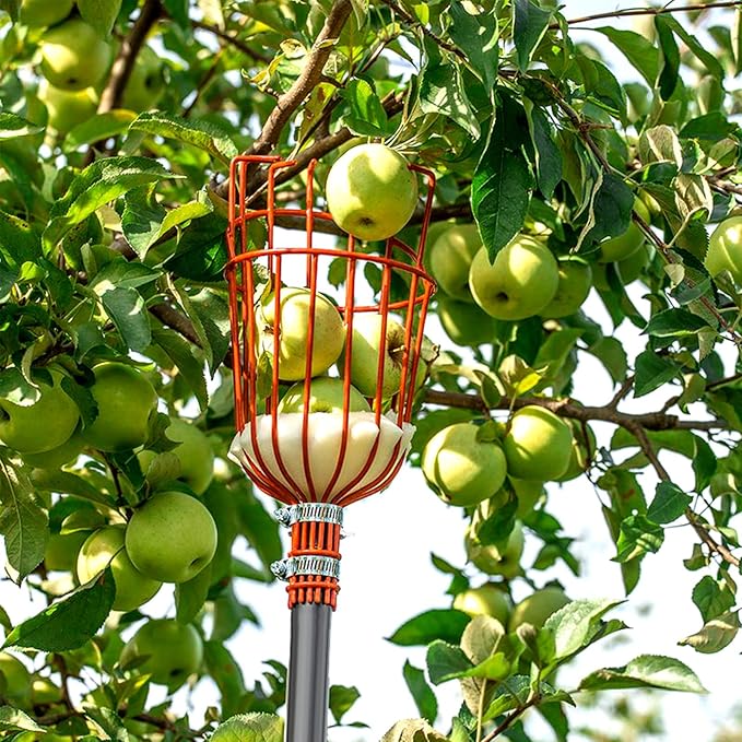Walensee 5.5FT Fruit Picker, Adjustable Fruits Picker Tool with Lightweight Stainless Steel Pole and Big Basket, Fruit Catcher Equipment Tree Picker for Apples Mango Pear Orange Avocados Fruit Picking