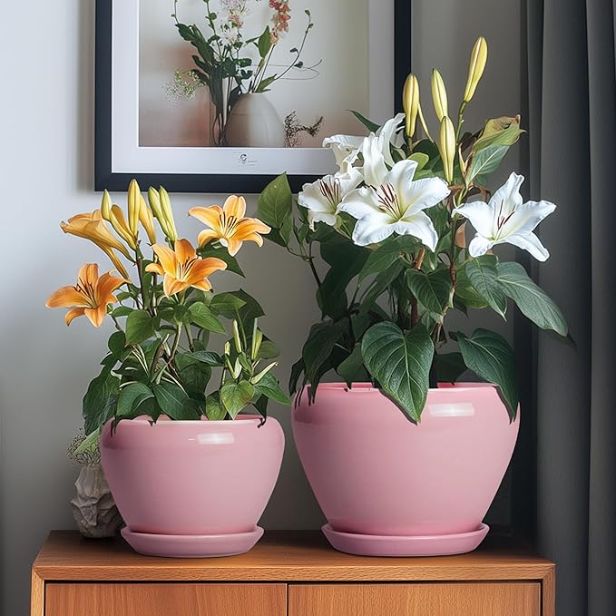 Ceramic Planters, 10+8+6 Inch Ceramic Plant Pots with Drainage Holes and Saucers, Flower Pots for Indoor Outdoor Plants, Modern Round Planter, Office Decor, Plant Lover Gifts, Set of 3, Pink