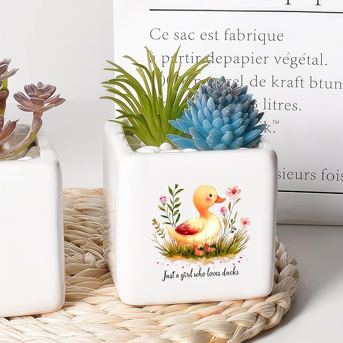 BJDAMAI Duck Succulent Planter Flower Plant Pot Small, Gifts for Women Teens Girls Kids, Duck Lovers Themed Stuff Accessories Things Decor Merch, Home Office Table Desk Decoration!