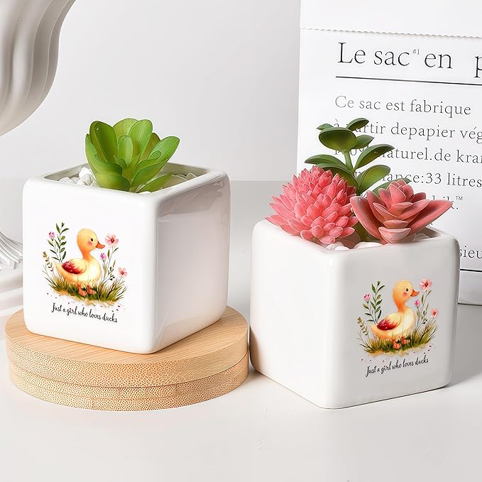 BJDAMAI Duck Succulent Planter Flower Plant Pot Small, Gifts for Women Teens Girls Kids, Duck Lovers Themed Stuff Accessories Things Decor Merch, Home Office Table Desk Decoration!