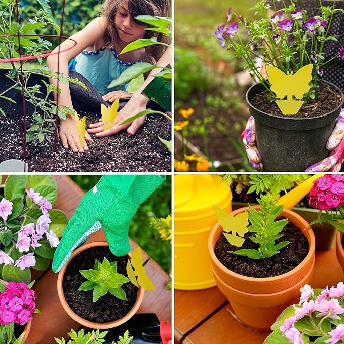 LFSYS 64 Pcs Sticky Trapz for gnat, Yellow Stick Traps for Plants, Fungus gnat Traps Double Side with Shovel, Indoor Safe for Gnat, Fruit Fly, White Fly, Aphid, Leaf Miner
