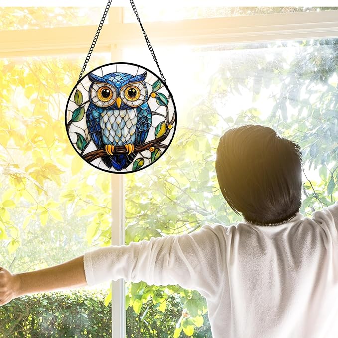DASTOLL Stained Glass Window Hanging, Owl Gifts for Women Sun Catchers Diamond Glass Panel Hangings Birds Suncatcher Decor for Birthday for Women, Men, Wife, Aunt, and Mom 9.8 in