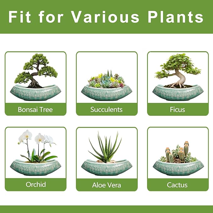 Teagas Bonsai Tree Pot - 18 Inch Ceramic Succulent Pots for Indoor Outdoor, Large Bonsai Planter with Drainage Hole, Ceramic Flower Pot, Decorative Planter, Gifts for Plant Lovers, Room Decor, Green